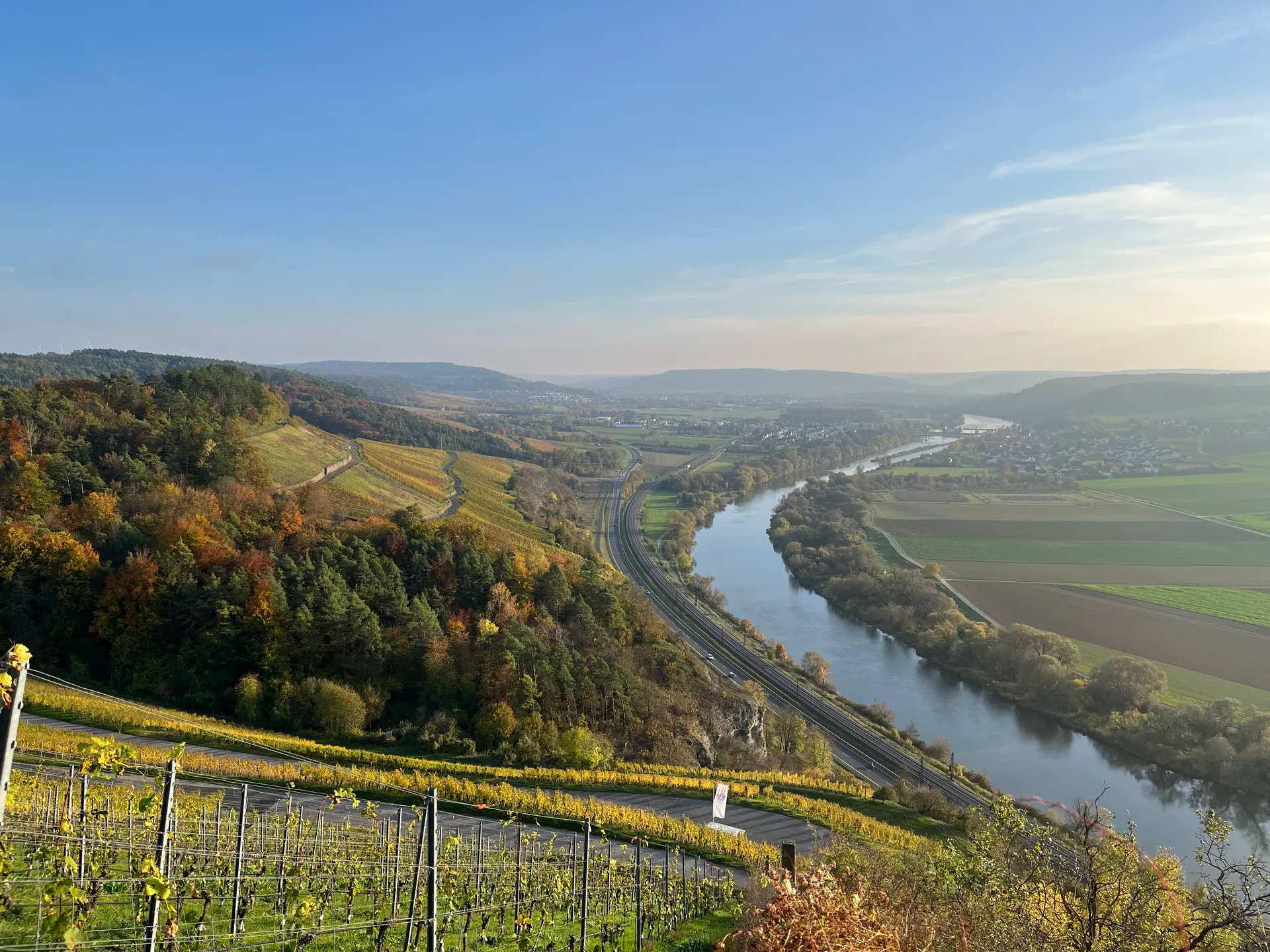 Weinberge 