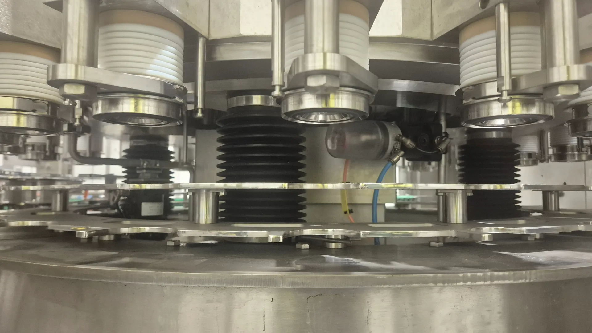Can filling line for beer and CSD 