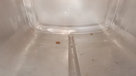 25-007 Weintank 800 Liter