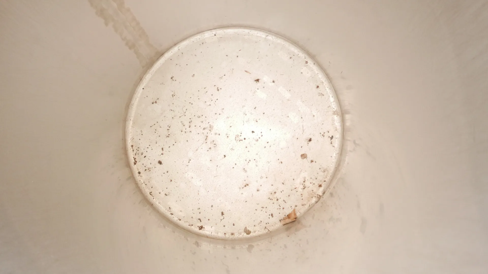 25-0107 Immervolltank 1.170 Liter