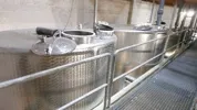 15000 Liter Maischerührwerktank Rieger mit Entsaftungssieb