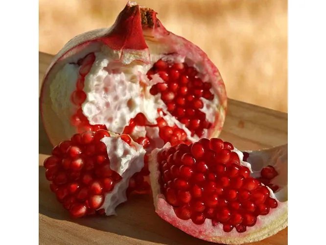 Pomegranate Conventrate